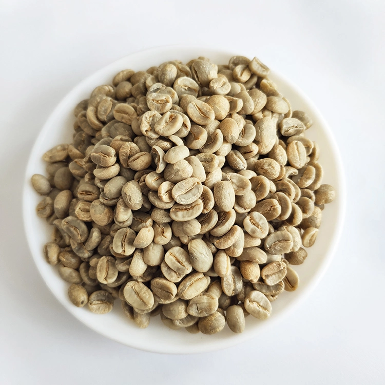 Export High quality/High cost performance Arabica Green Coffee Beans