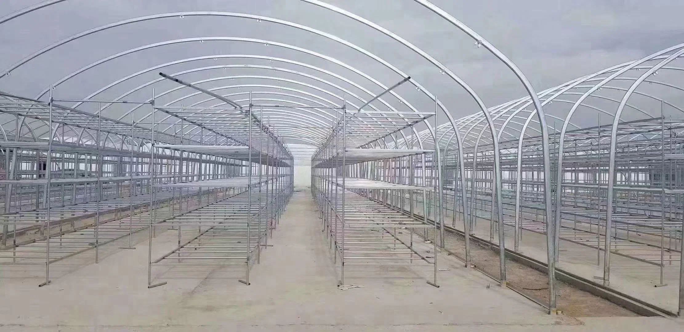 Flower and Vegetable Greenhouses with Single-Span Film