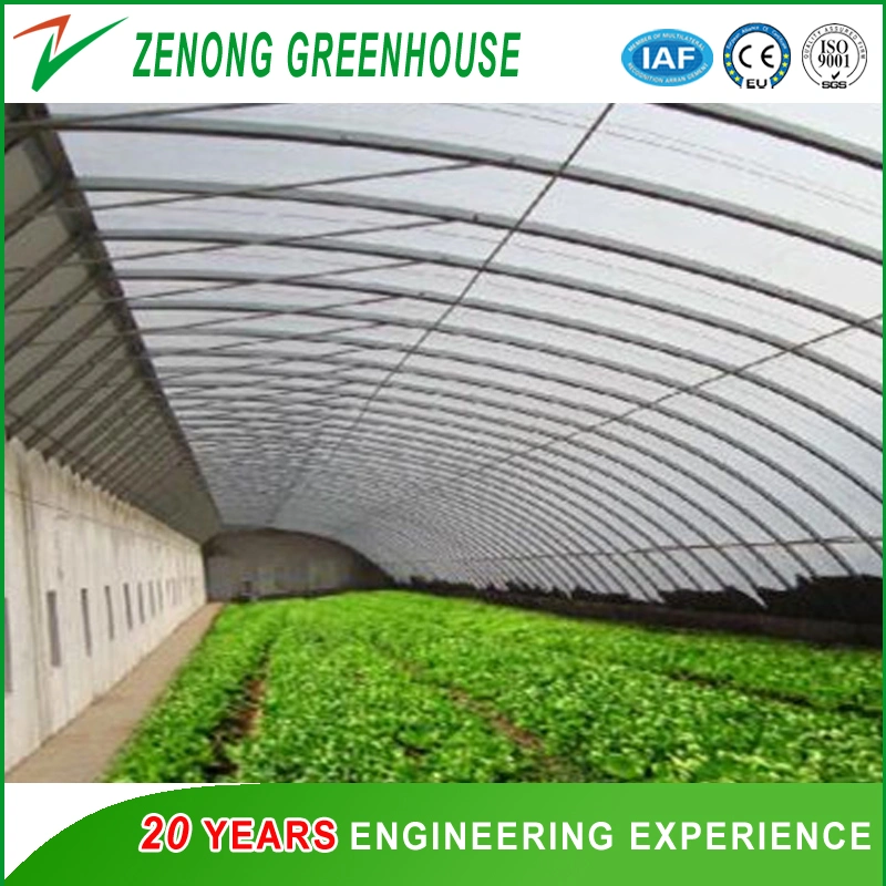 Greenhouse a-Frame Hydroponic System with Substrate for Vertical Farming for Strawberry/Leafy Vegetables