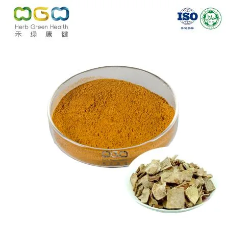 Hair Beauty Plant Extract Polygonum Cuspidatum Root Extract Powder