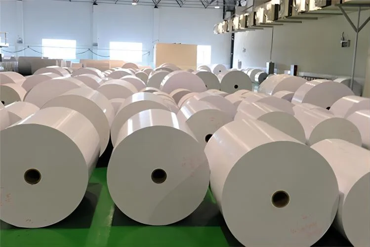 Papel de piedra resistente al agua papel de impresión offset papel recubierto de PE