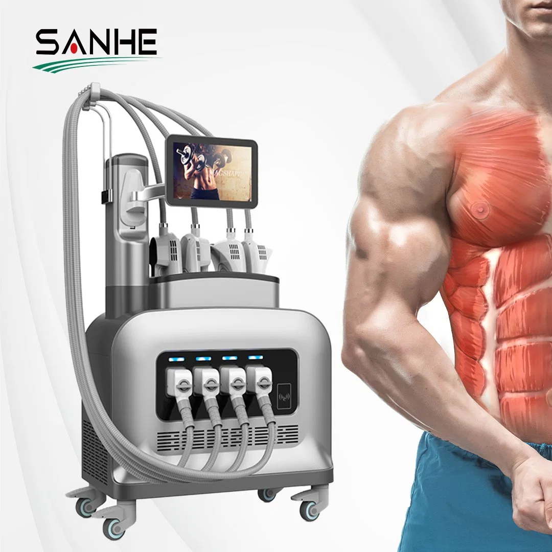 Weight Loss Machine EMS Muscle Stimulate Fat Removal Electromagnetic EMS