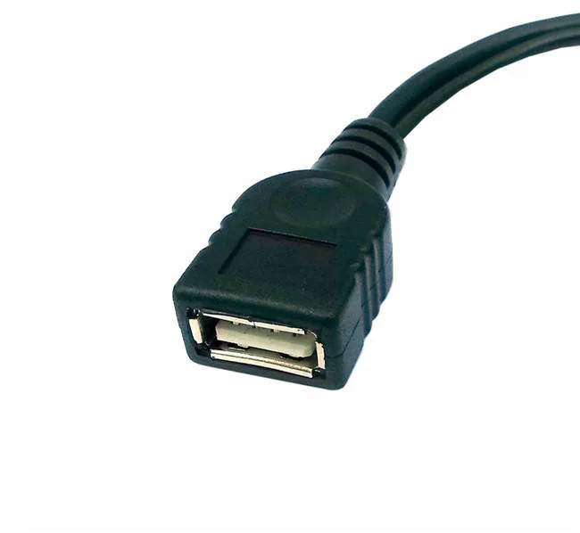 Cable adaptador OTG micro USB 2 en 1 para incendio TV Stick