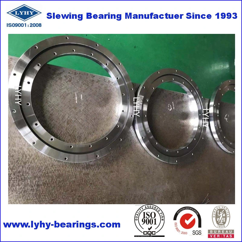 Slew Bearing Slewing Gear with Nickel Plated for Water Treatment Equipment (010.20.200)