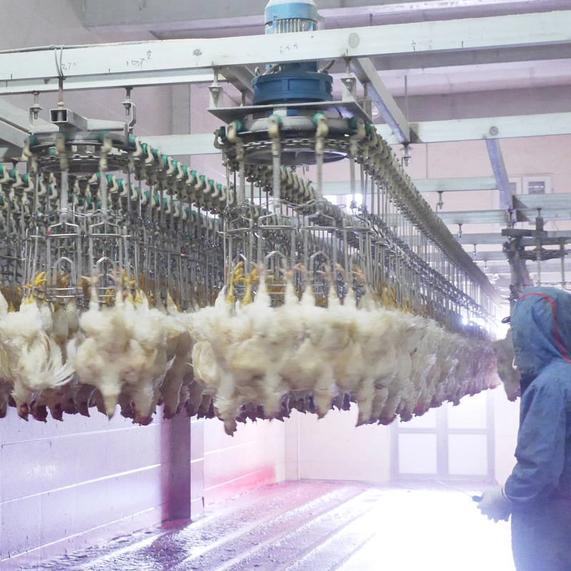 Le dépeçage de poulet poulets en abattoir de la machine machine usine de transformation de l'équipement d'abattage de poulet