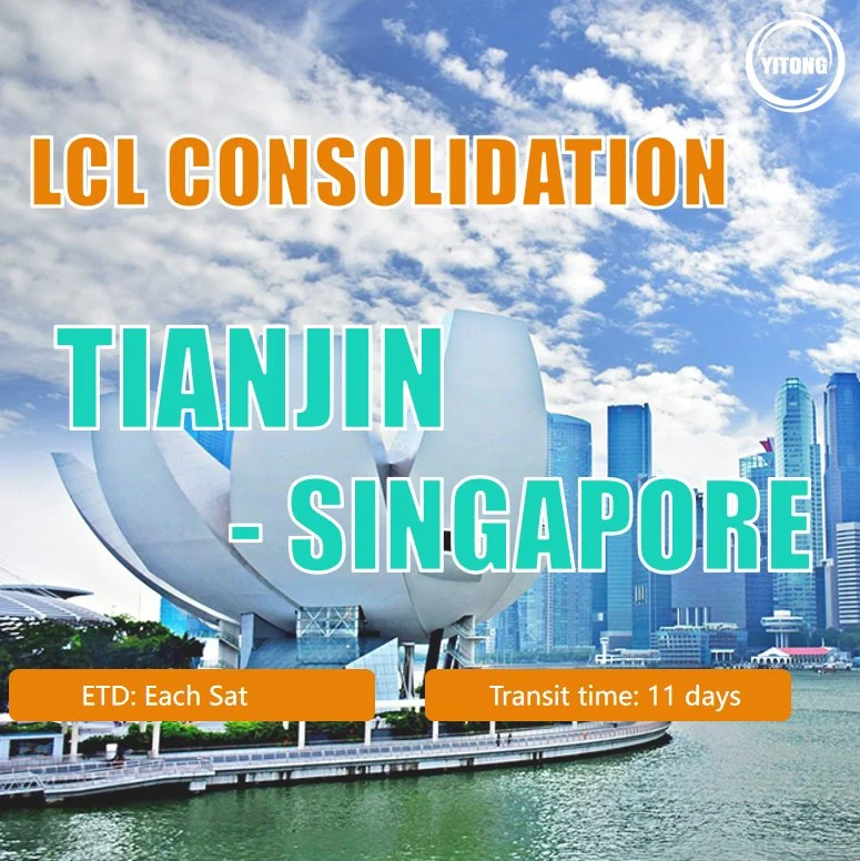 LCL Shipping From Guangzhou to Singapore