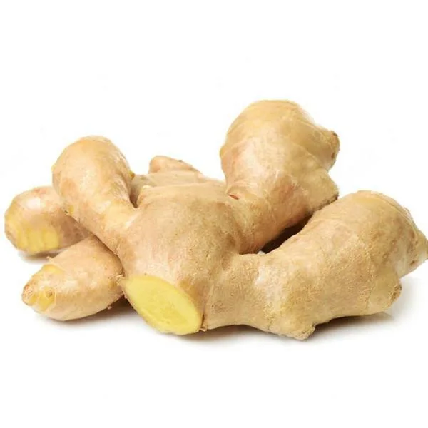 Golden Supplier New Crop Fresh Ginger (200g and up)