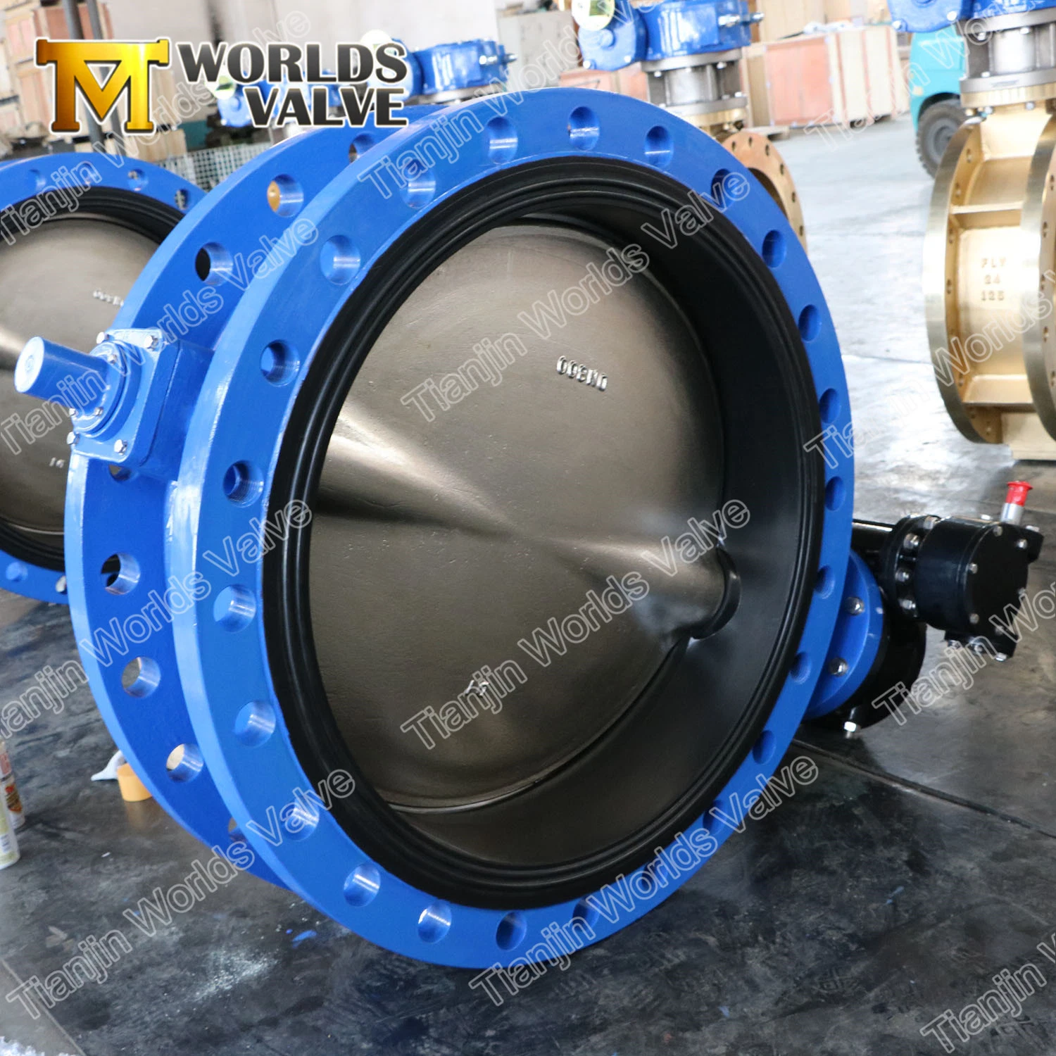 DN1400 Double Flange Al Bronze C95400 C95800 Butterfly Valve En593 Standard NSF ABS Rina Dnv Lr Lloyd's Register