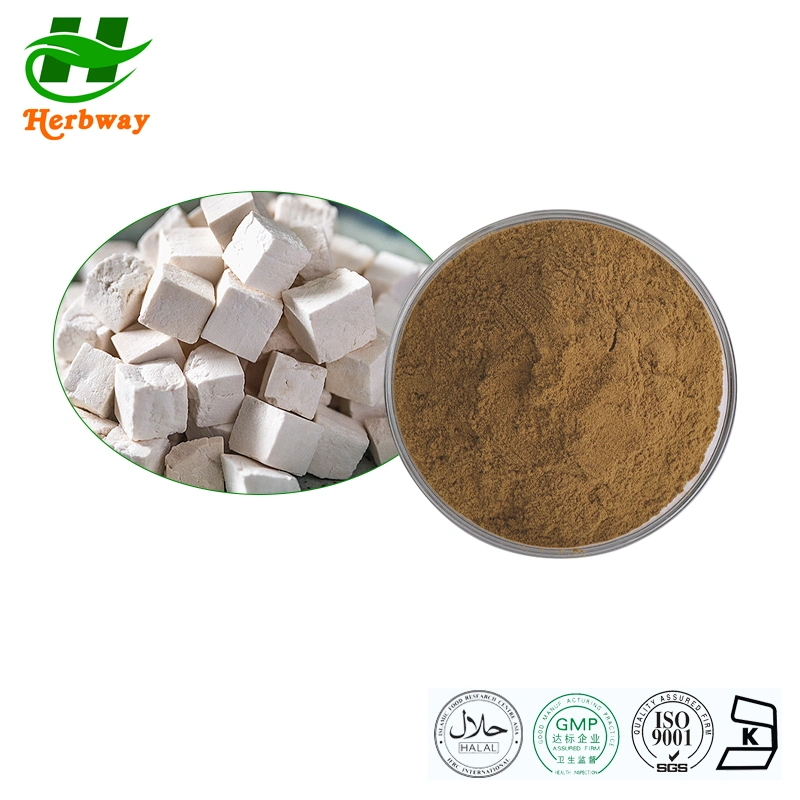 Herbway Plant Extract Free Sample Pharmaceutical Poria Cocos Extract for Ajudar o sono a 50% polissacarídeo