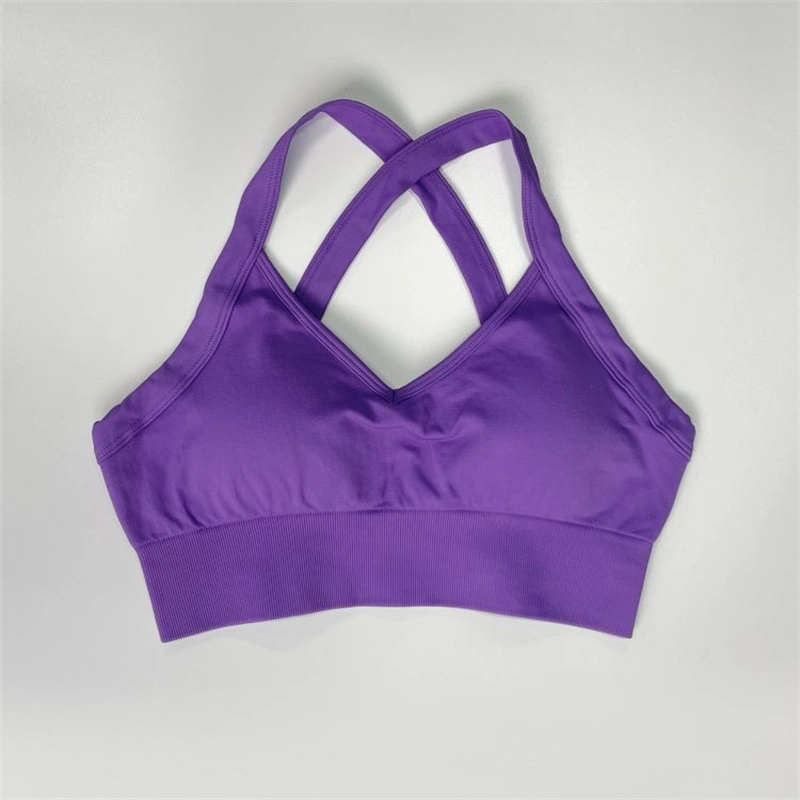 Custom Wholesale/Supplier New Model Spandex Yoga Quick Dry Crop Top Fashion Active Plus Size High Impact Sexy Women Sports Bra