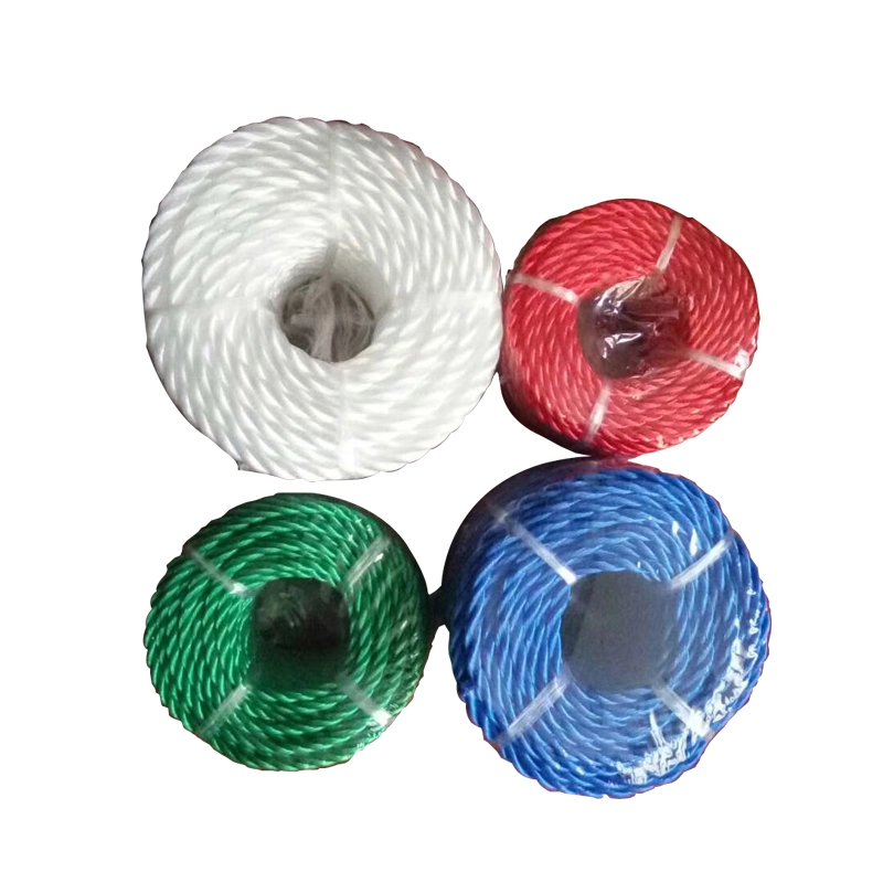 Factory Direct Supply 3/4 Strands 2-20mm Diameter PP /PE/ Nylon Monofilament Twisted Rope for Agriculture/Sea/Fishing/Packing