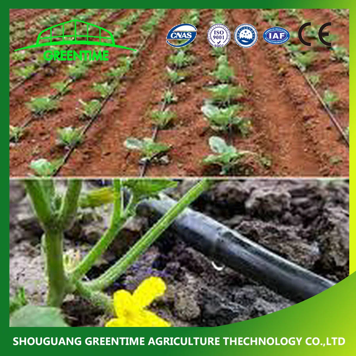 Factory Price Eco Friendly Drip Irrigation Pipes and Irrigation Sprikler System for Horticultural Greenhouse