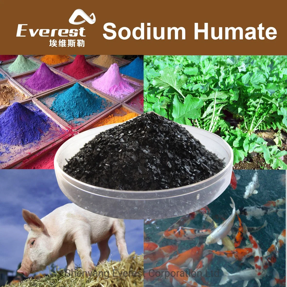 Organic Sodium Humic Acid for Industry Use, Feed Additive, Agriculture