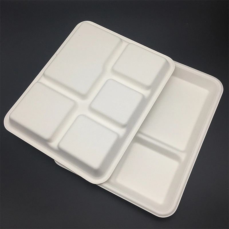 Plateau scolaire en bagasse compostable de 5cp pour l'emballage alimentaire.