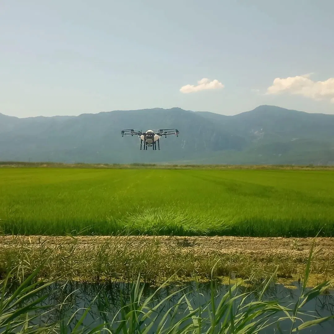 Vehículos Aéreos No Tripulados Uav para cultivo agrícola Drone pulverizando