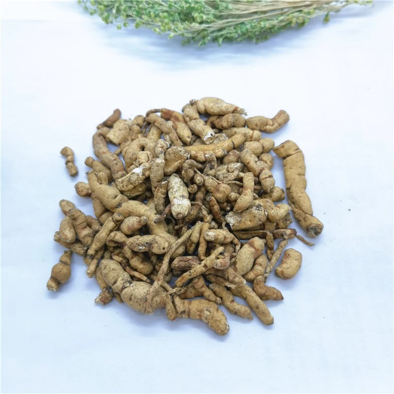O GAN Sui prote a granel Fitoterapia Euphorbia Kansui secas para os cuidados de saúde