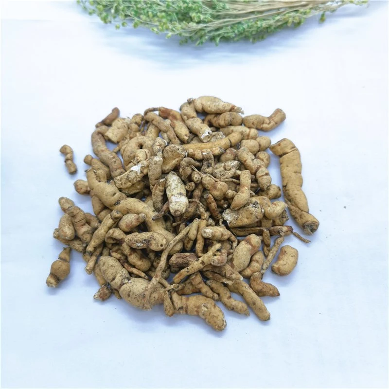 Gan Sui Bulk Crude Herbal Medicine Dried Euphorbia Kansui For Health Care