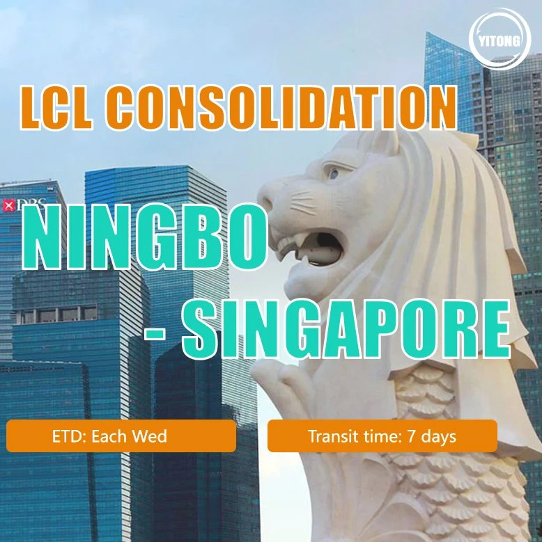 LCL Shipping From Shanghai to Singapore