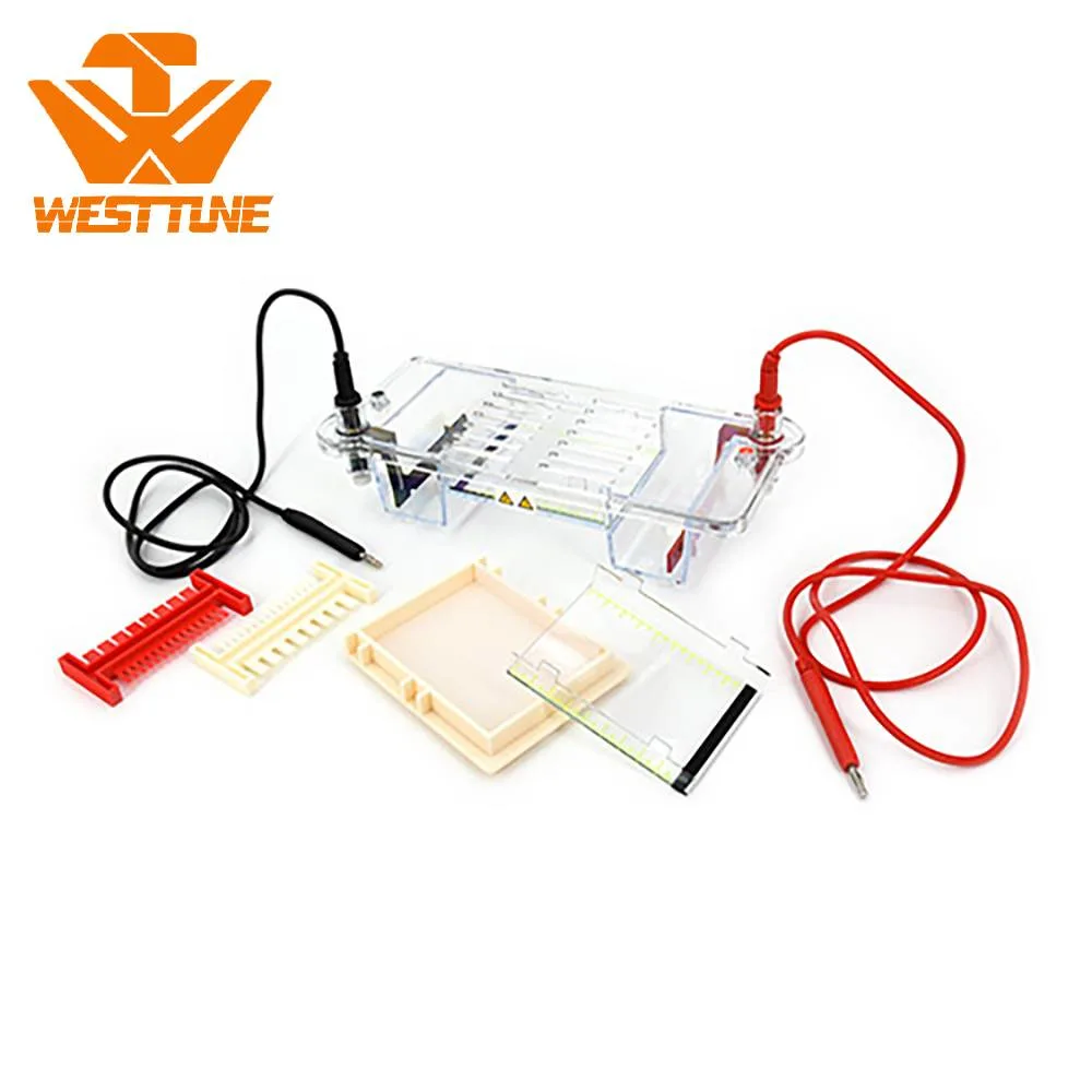 Modular Horizontal Electrophoresis Cell Dycp-31cn