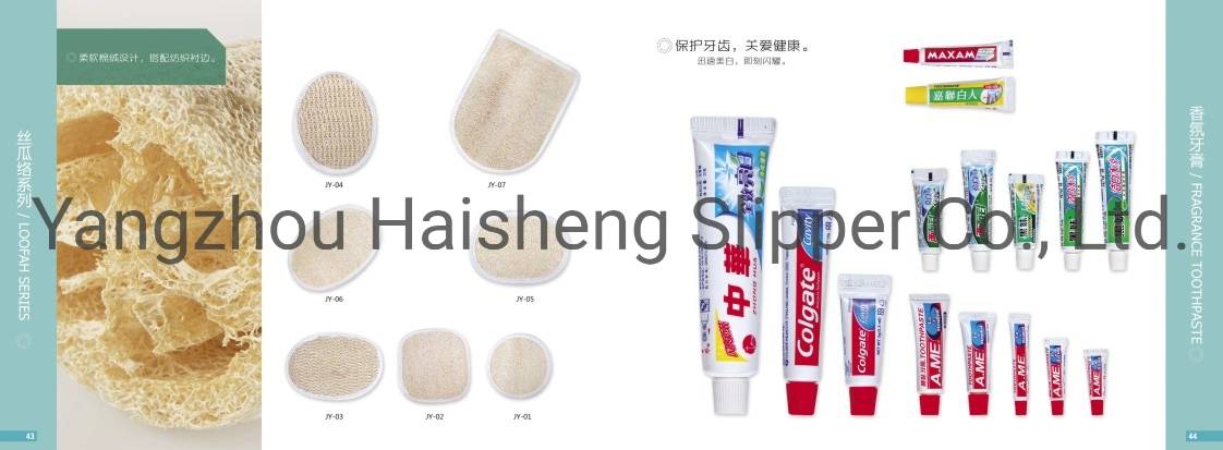 Custom Luxury Hotel Amenities Travel Disposable Bamboo Toothbrush Toothpaste Set Dental Kit