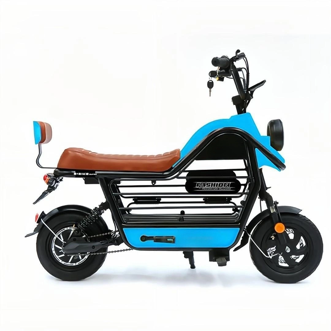 Bxb-114e Family Shopping Warm Travel with Petselectric Motor Bike