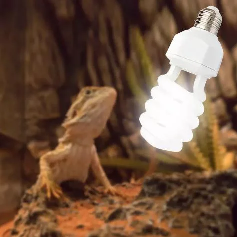 Mascota de gama alta 13W 20W 26W blanco Lámpara de bajo consumo espiral de luz UVB de Reptiles de la luz de crecimiento de la planta para la venta