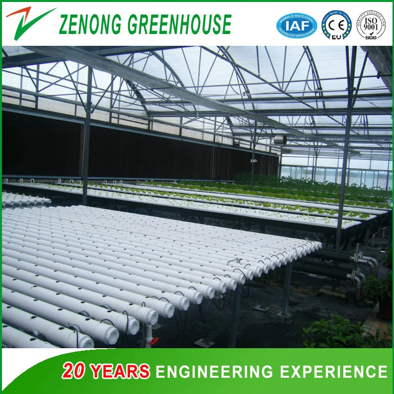 Multi-Span Film Agricultural Greenhouse for Large Scale Farming/Cultivation