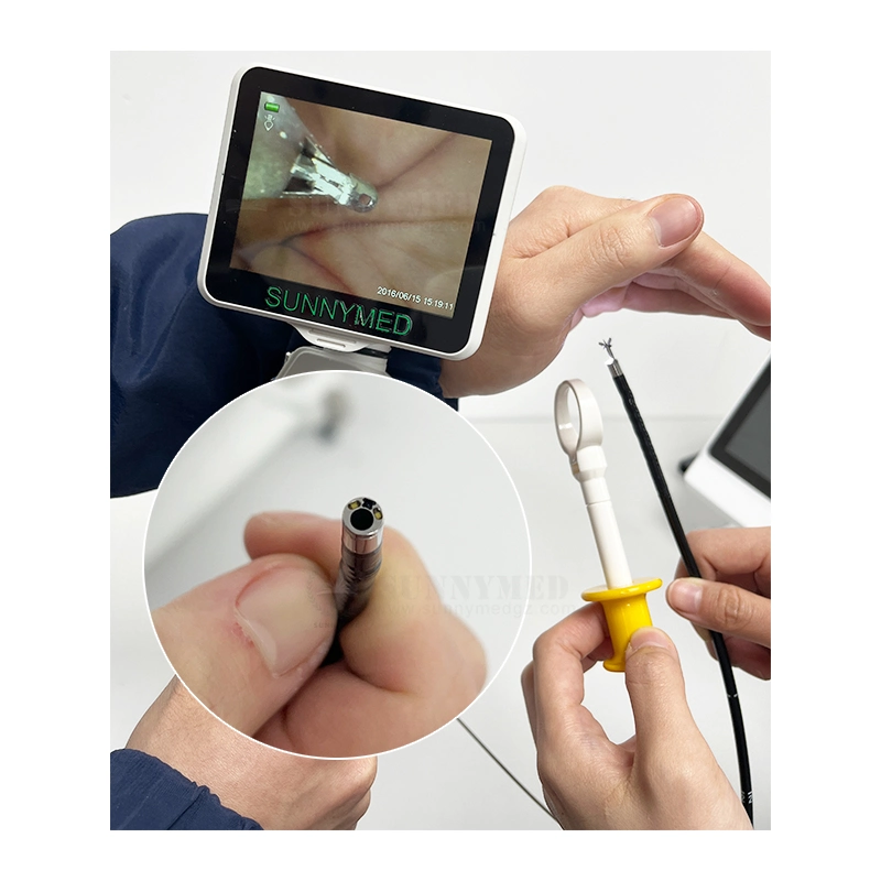 Sy-Wp029-3 Newest Medical Ent Endoscopy Portable Recording Video Flexible Endoscope with 3.5"TFT LCD Screen