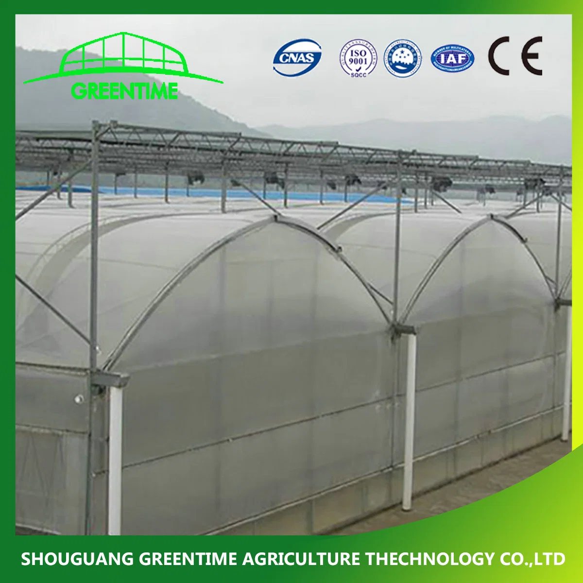 Hot Sale Arch Type PE/Po Film Agricultural Greenhouse for Tomato/ Pepper Planting