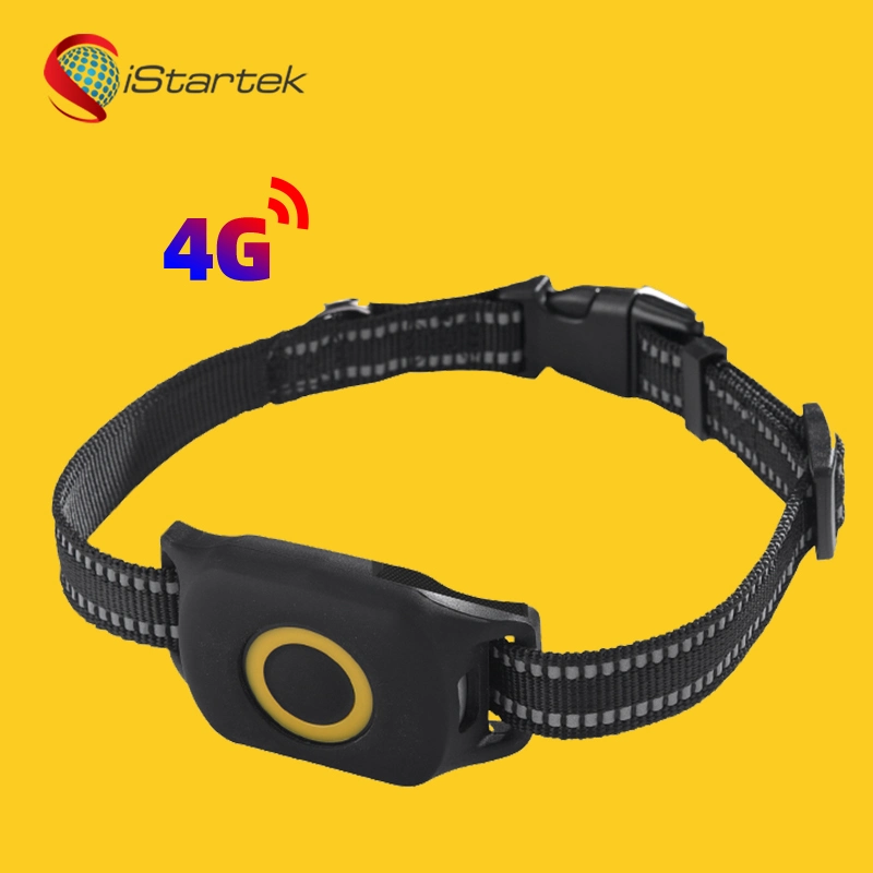 Anti-Lost Smart Collar Waterproof Luminous Micro Mini Long Battery Life 4G GPS Tracker Pets for Location
