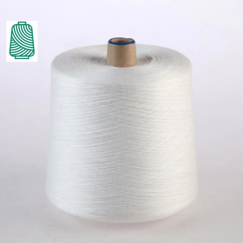 100d/144f Nim on Paper Tube Semi-Dull Raw White Nim 100% Polyester Yarn Label Twist