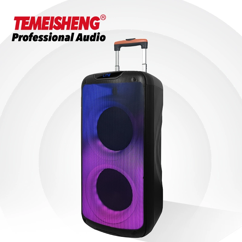 Temeisheng 2022 Venta caliente Alta Potencia Doble llama de 8 pulgadas Altavoz de la fiesta de la luz