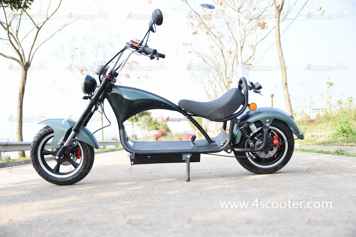 Wholesale/Supplier EEC Adult Electric Scooter Bike on Best Price