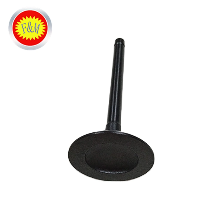 Auto Car Spare Part OEM 13711-54030 Exhaust Intake Valve