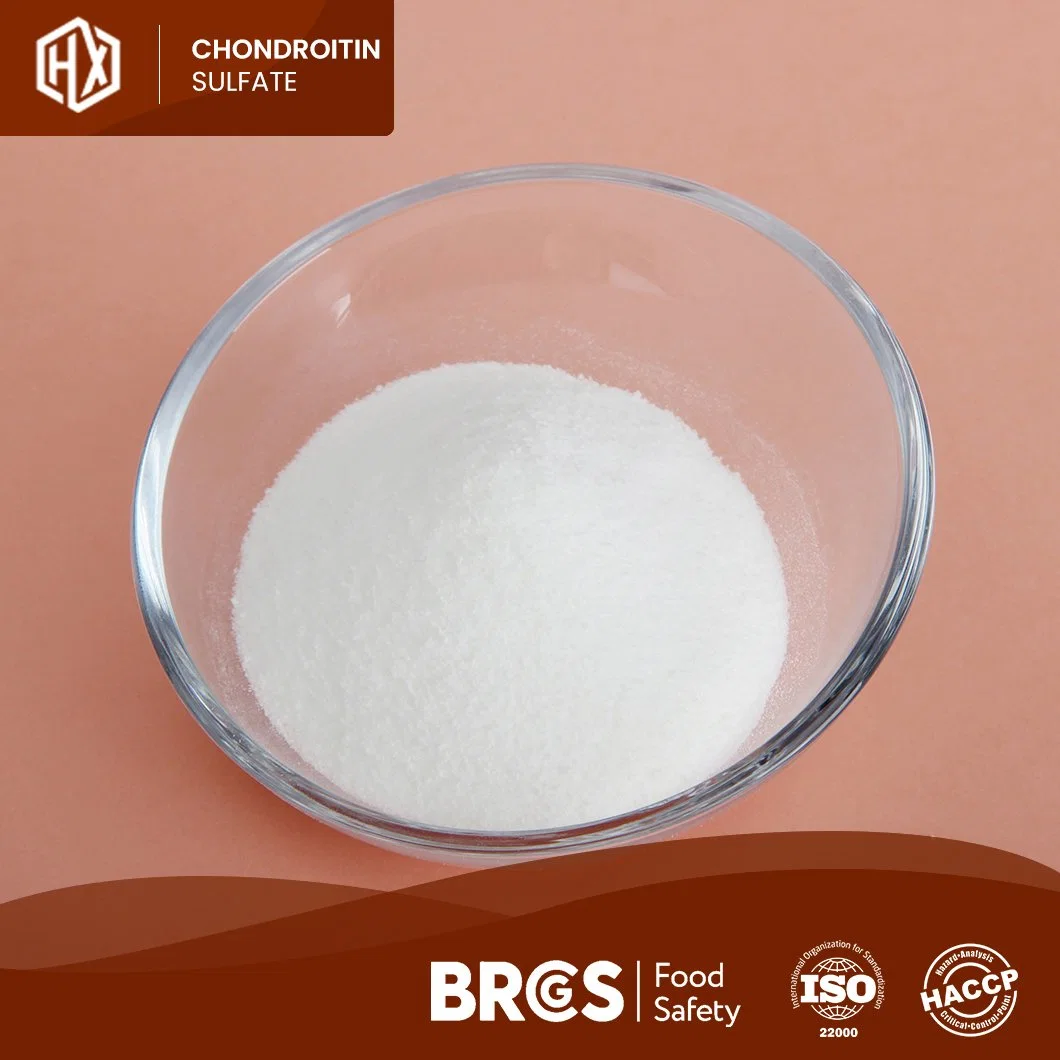 Haoxiang Supply Food Grade Pure Chicken Bone Chondroitin Sulfate Powder for Bone Health OEM Customized Improves Bone Density