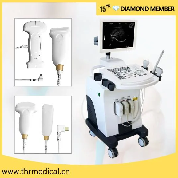 Hospital Diagnostic Equipment Trolley Full Digital Ultrasound Machine (THR-US370)