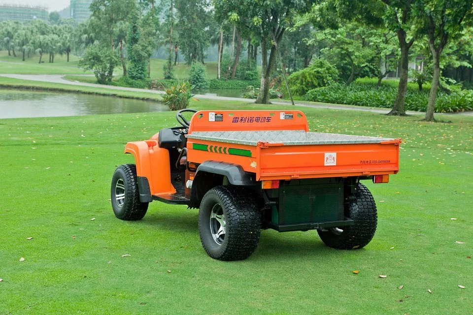 Sturdy 2 chariots électrique passager Cargo voiturette de golf Voiture