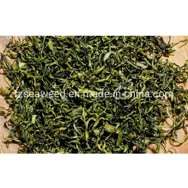 Venta caliente Corea Food Grade de algas marinas algas wakame ensalada