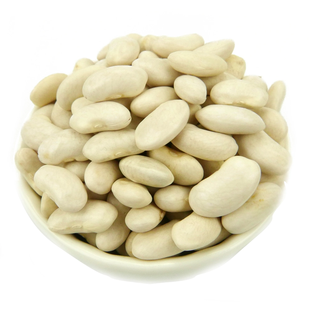 Healthy High quality/High cost performance  Red and White Kidney Beans Price for Sell