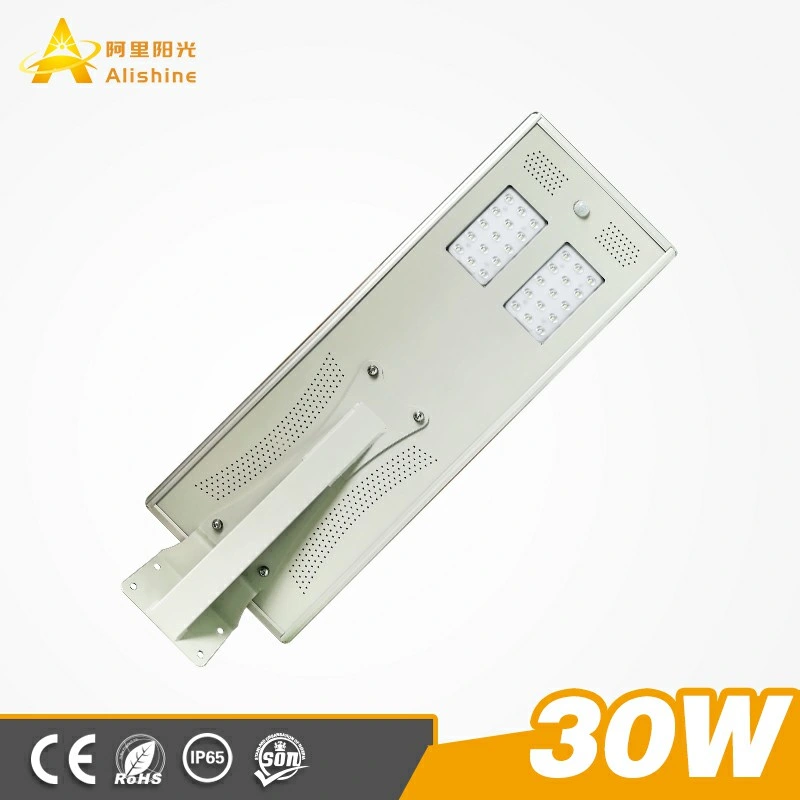 New 30W Factory Wholesale/Supplier LED Solar Street Lights Outdoor Garden Lamp