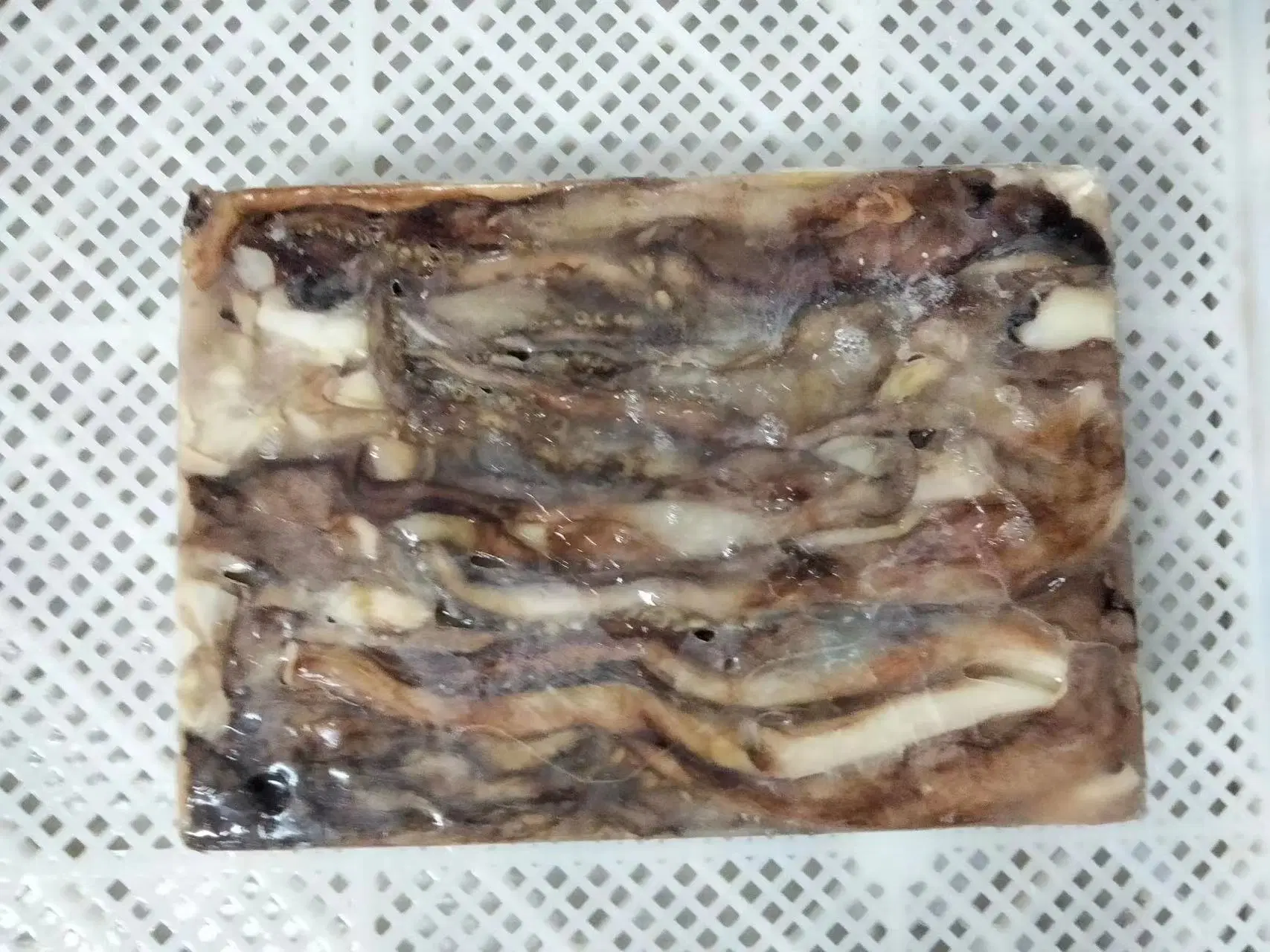 مجمّد هوت سالوس سيفوود igas Squid/Calamar POTA stenacle مع رخيصة السعر