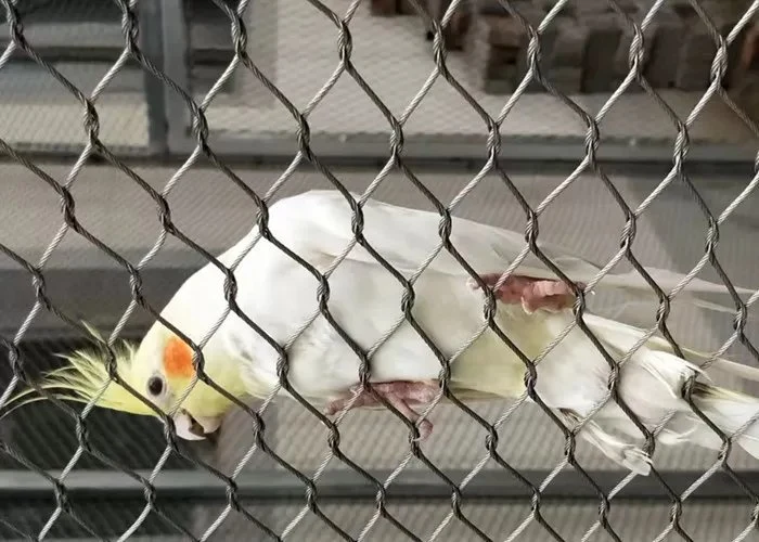 Metalldraht Seil Flexibel Papagei Käfig Ara Zaun Toucan Protective Aviary Net