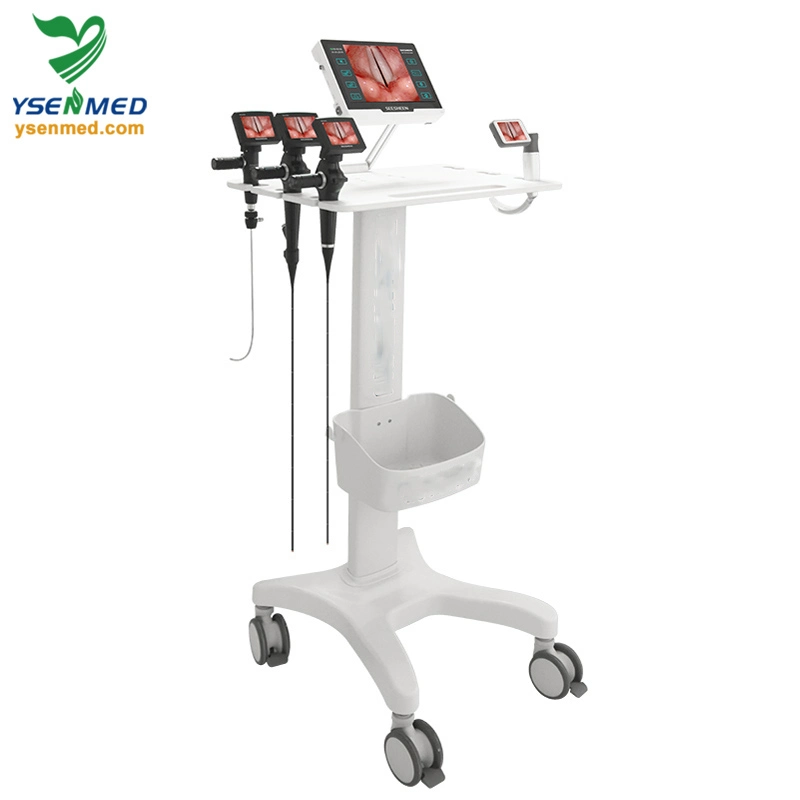 Ysvet-EC130 1000mm con 10,1 pulgadas Equipo médico pantalla táctil portátil Endoscopio de vídeo animal