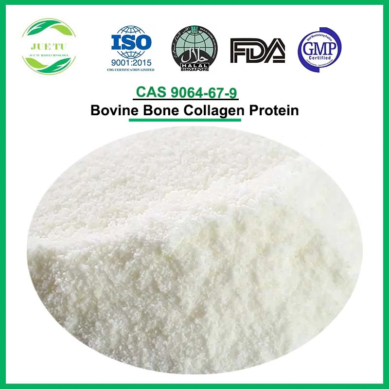 Bone Care Joint Health Supplements Raw Material CAS 9064-67-9 Bovine Collagen