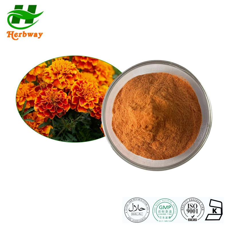 Herbway Herbal Extract Natural Pigment Marigold Flower Extract Lutein Powder