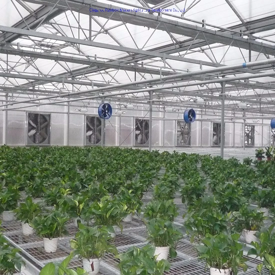 China Greenhouse Solutions