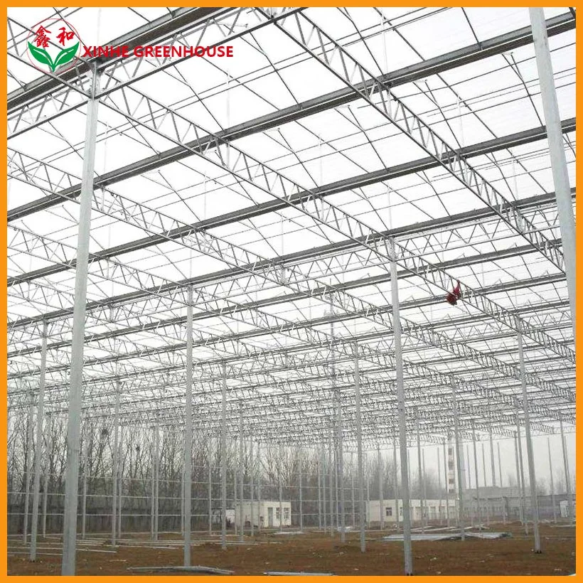 Low Price Hot-Dipped Galvanized Tube Polycarbonate Sheet Greenhouse