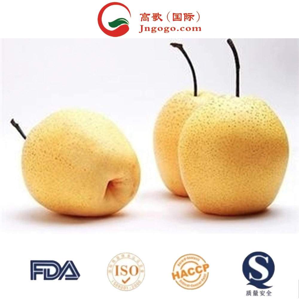 Gogo Golden Pear in Various Sizes