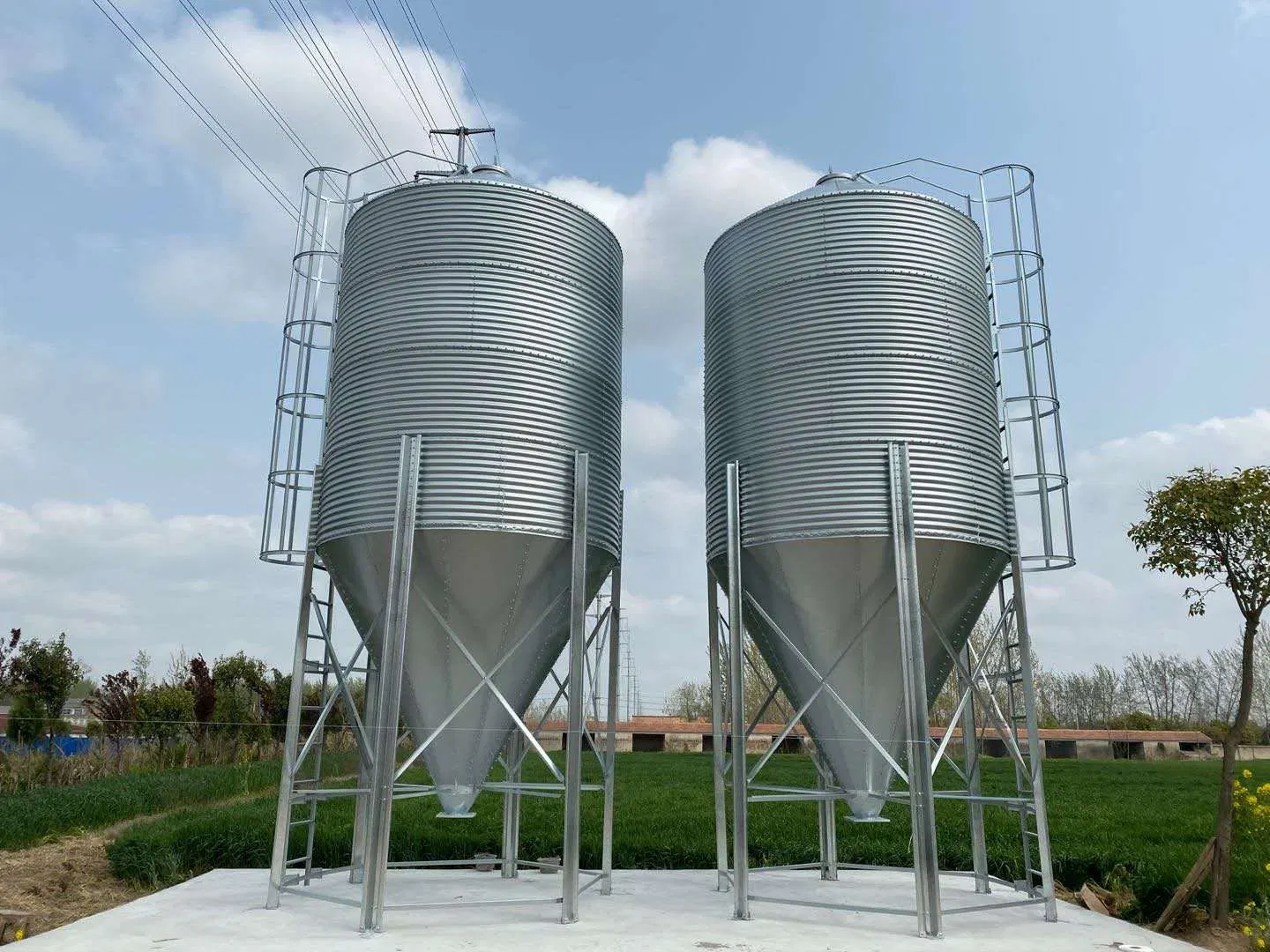 Chicken Farm Poultry Farm Layer Farm Galvanized Feed Silo with 10 Tons