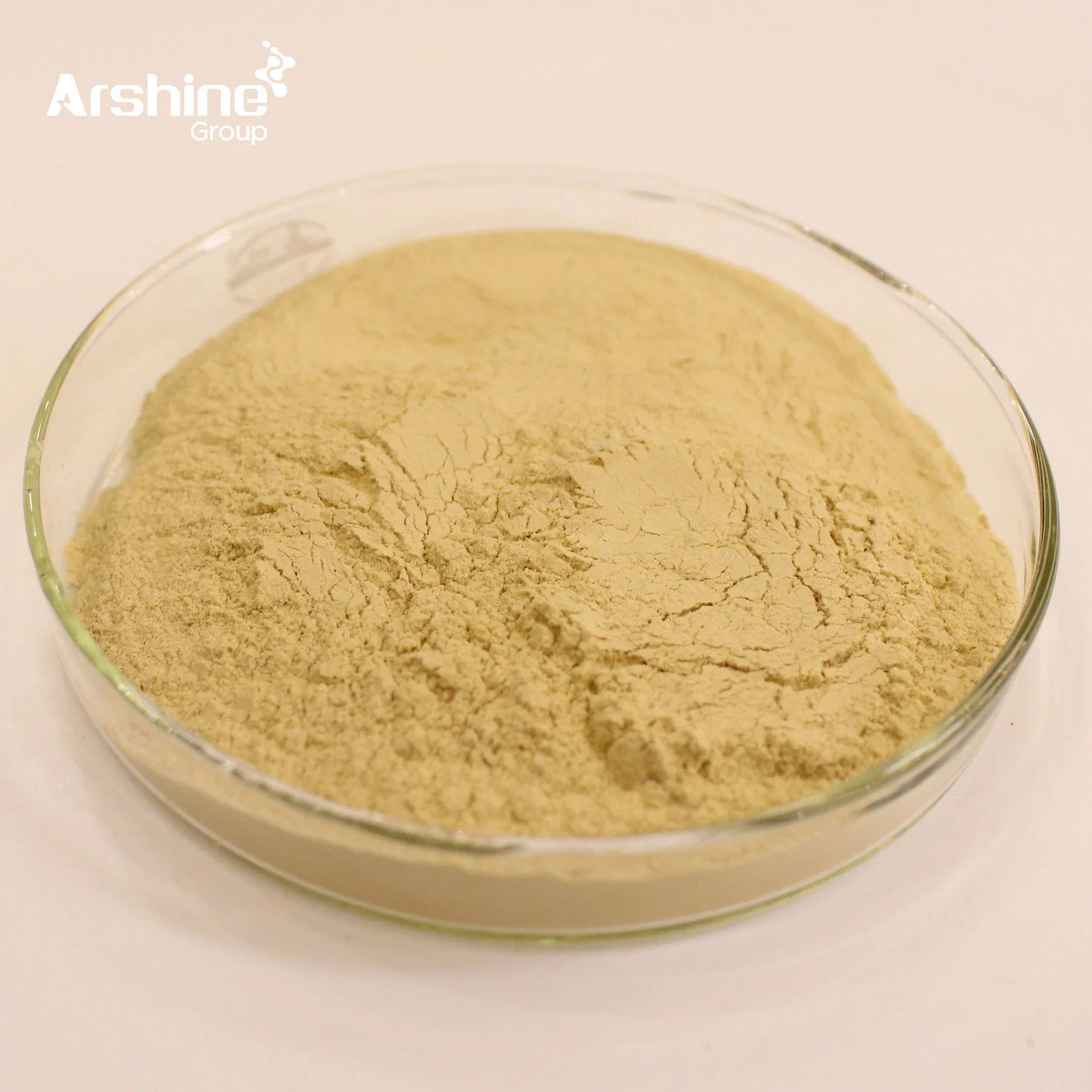 Fabrication acide Rosmarinique naturel de haute qualité 5% extrait de romarin poudre